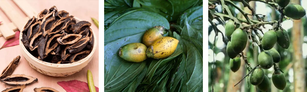 1668140601989382.jpg 未標題-3.jpg