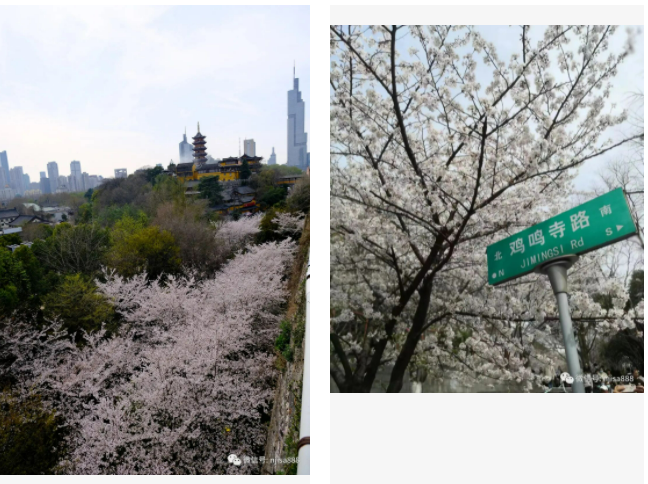 29015709.png image.png