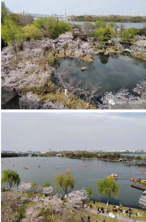 37613109.png image.png